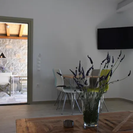 Andromeda Mykonos & Aparthotel Kalo Livadi