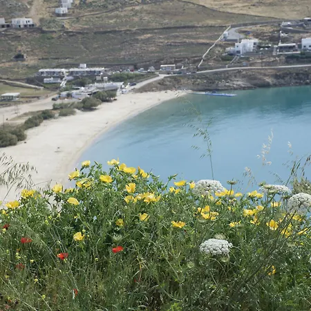Andromeda Mykonos & 칼로 리바디