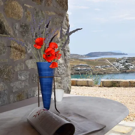 아파트호텔 Andromeda Mykonos & 칼로 리바디