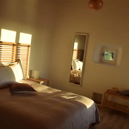 Andromeda Mykonos & 4*