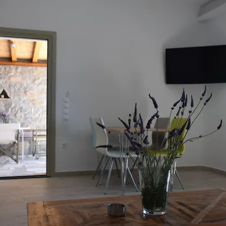 Aparthotel Andromeda Mykonos &