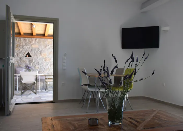 Aparthotel Andromeda Mykonos &