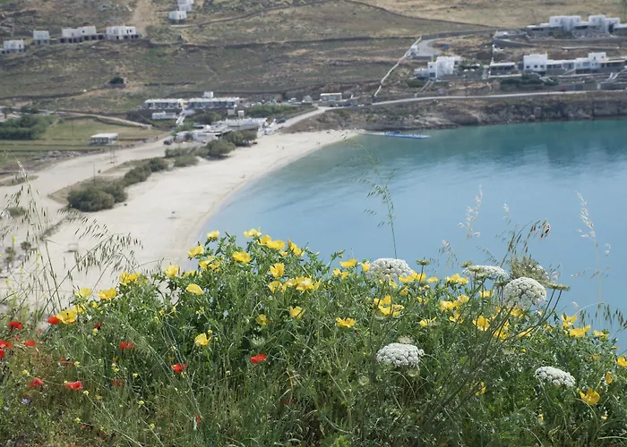 Andromeda Mykonos & Kalo Livadi
