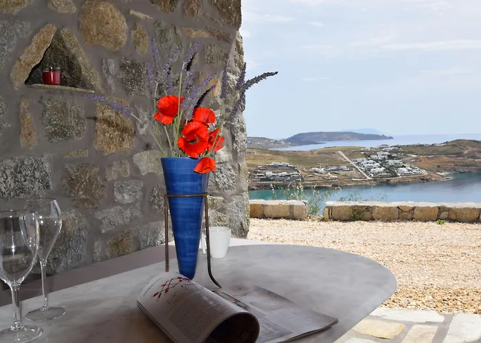 Aparthotel Andromeda Mykonos & Kalo Livadi